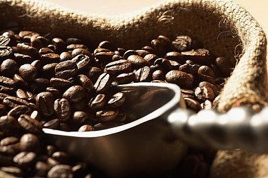 斯宾塞认为裁员是Xbox生存的必要条件：因行业增长乏力